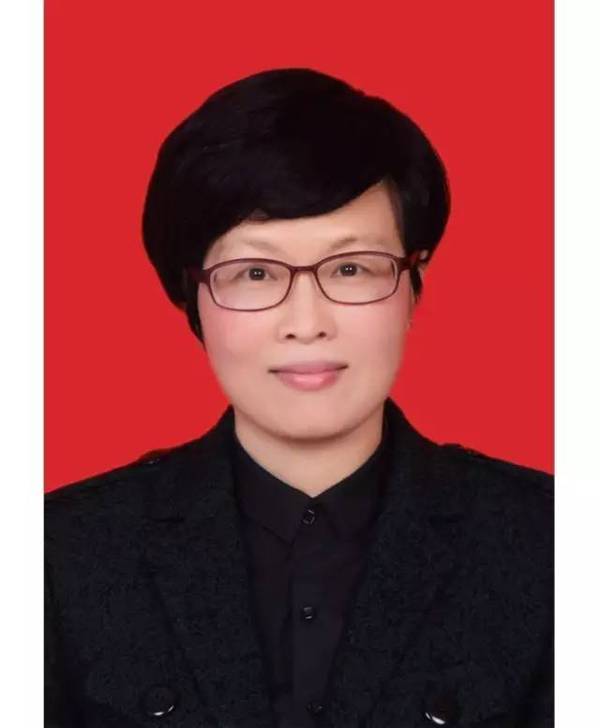 苍南县第十届人民代表大会常务委员会副主任 林霄