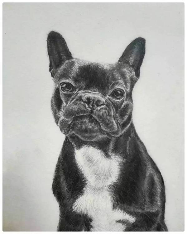 青年美术教师的部分绘画~刻画入微,活灵活现!