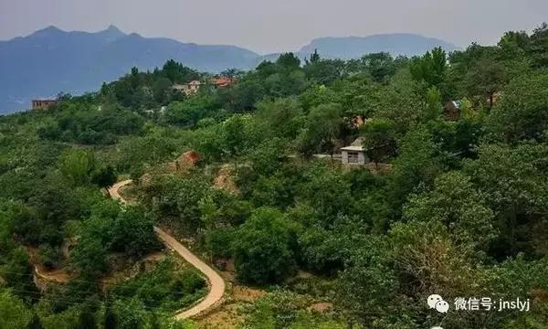张夏镇地处长清区以南19公里,南临旅游城市泰安23公里,北距省会济南25
