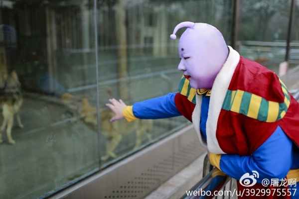 银魂真还原灵魂cos 自带蜜汁bgm的hata王子 无线频道 手机搜狐