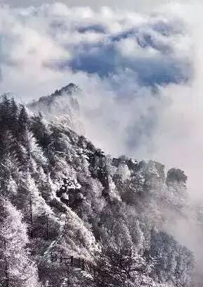 02-21 18:06 大 太平瑞雪现"仙都 太平国家森林公园瑞雪春降便出现