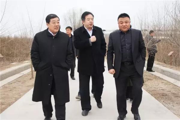 中喜生态产业股份有限公司董事长张洪勋(右)莅临中喜生态园区调研工作