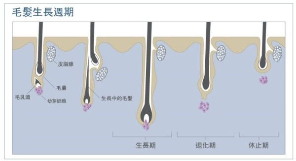 激光脱毛的四大不好 时尚频道 手机搜狐