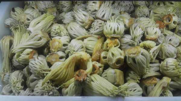 潞江坝,一个神奇的地方;百花岭,鸟类摄友的天堂