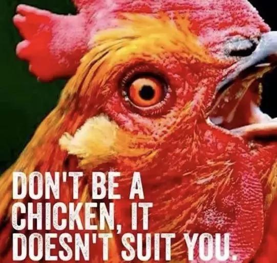 那些跟鸡有关的英文俚语,你可别说错喔!