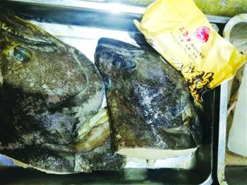 美味鲽鱼头好吃不好做 组图 新闻频道 手机搜狐