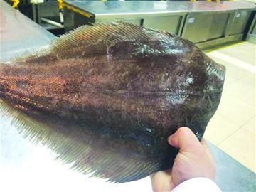 美味鲽鱼头好吃不好做 组图 新闻频道 手机搜狐