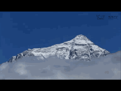 505_379gif 动态图 动图