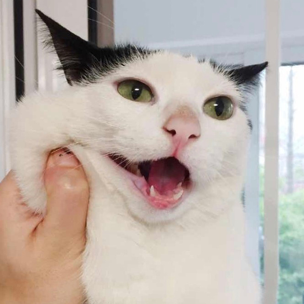 手机变荧光棒这样玩,超炫酷!