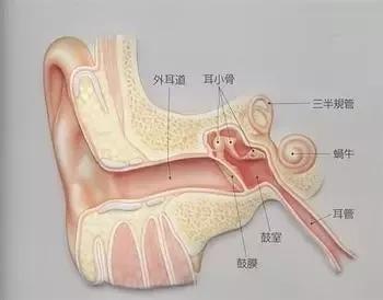 外耳道炎到底是什么样一种疾病 健康频道 手机搜狐