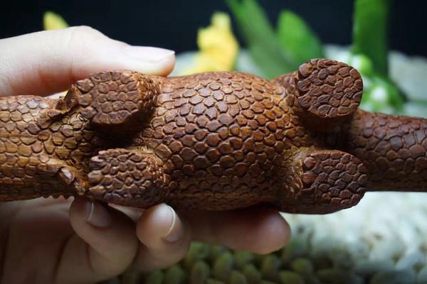 海黄摆件 蜥蜴有那么好的寓意 我也是第一次见 文化读书频道 手机搜狐