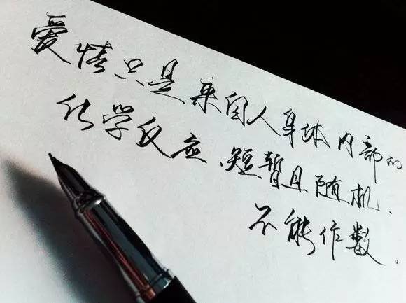 她因字好看被霸道总裁看上!