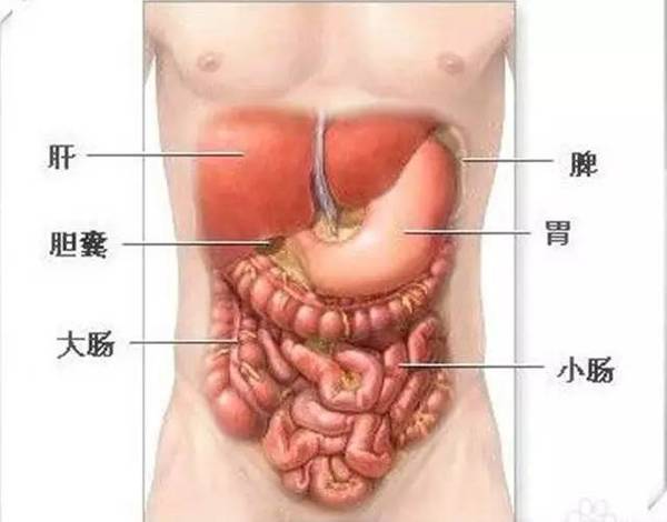 健康贴士 右肩背痛或是胆囊炎作怪 健康频道 手机搜狐