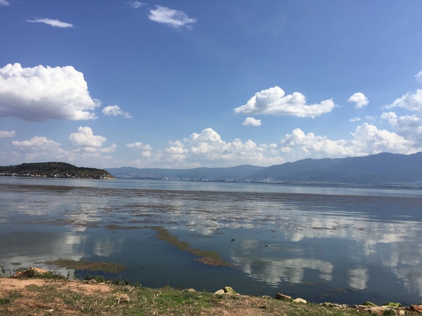 最後友情提供一個好玩的地方:大理大學,人少景色好,遠觀蒼山洱海非常