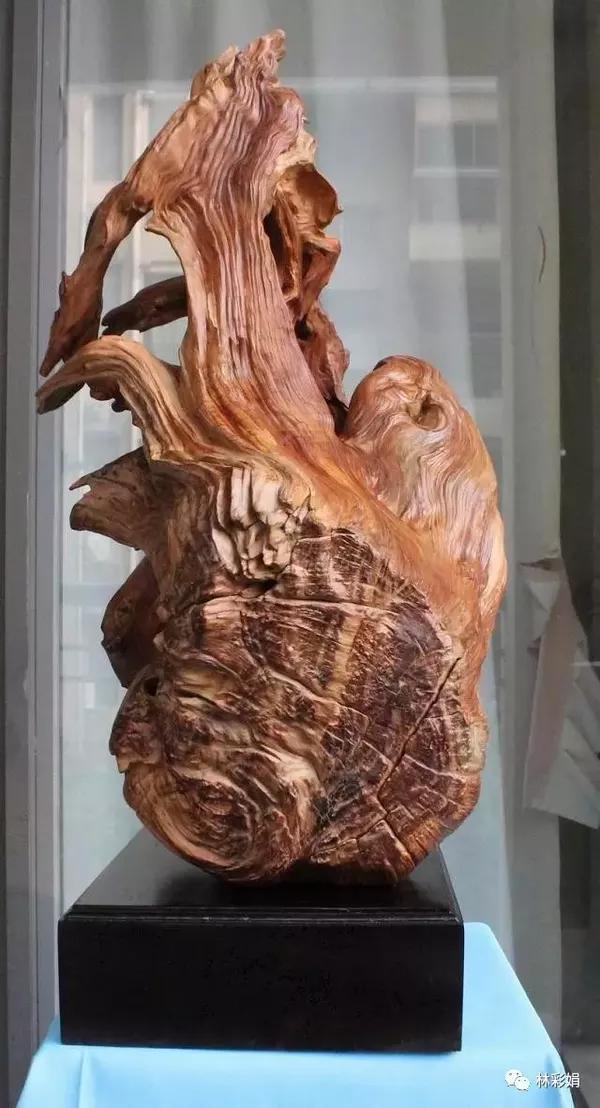 林彩娟:崖柏的那些神奇传说——老茬头的形成