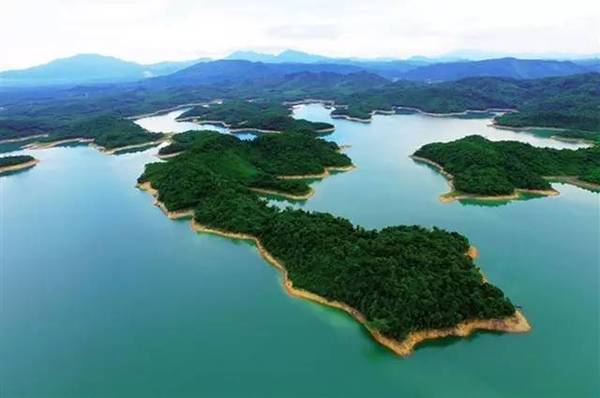 海南第一大水库邀你来"啜"一顿全鱼宴!