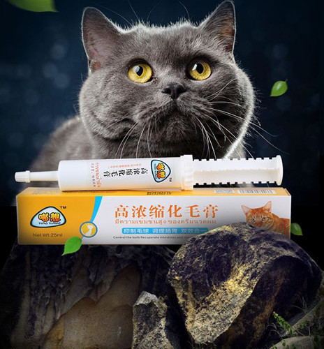 小猫毛球会导致咳嗽吗 毛球导致猫咪咳嗽怎么办 新闻频道 手机搜狐