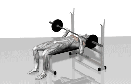 涨姿势:健身必备训练动态图,详细到每块肌肉!