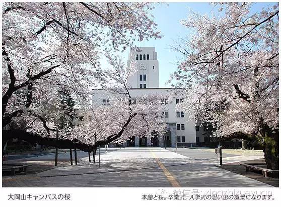 知名度不高却意外很有实力的日本国公立大学16选 教育频道 手机搜狐