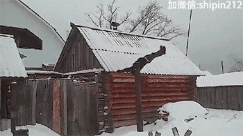 邪恶动态图:昨晚我们这是双飞了吗?