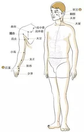 黄帝内经 | 十二经脉告诉你24小时中你的经络怎样运作?