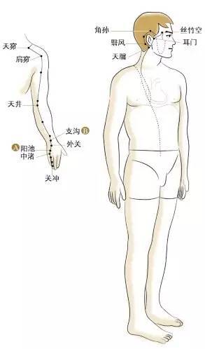 降逆止嘔,對心痛,失眠,胸悶,心悸等諸多心經病症皆有較好防治作用