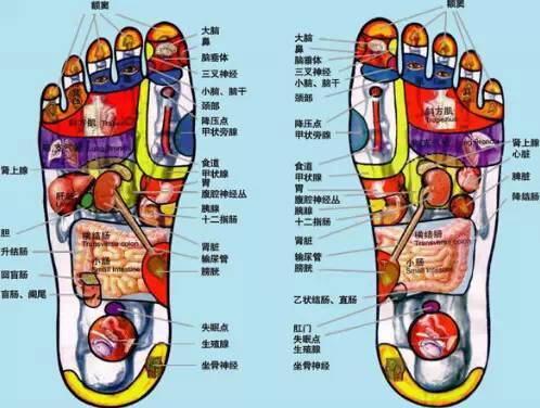 养生知识 脚底穴位图解大全及按摩方法 时尚频道 手机搜狐