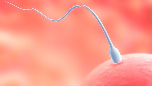 世界第一精子发射量番号_全球男性精子量告急_精子量射入不够会怀孕吗