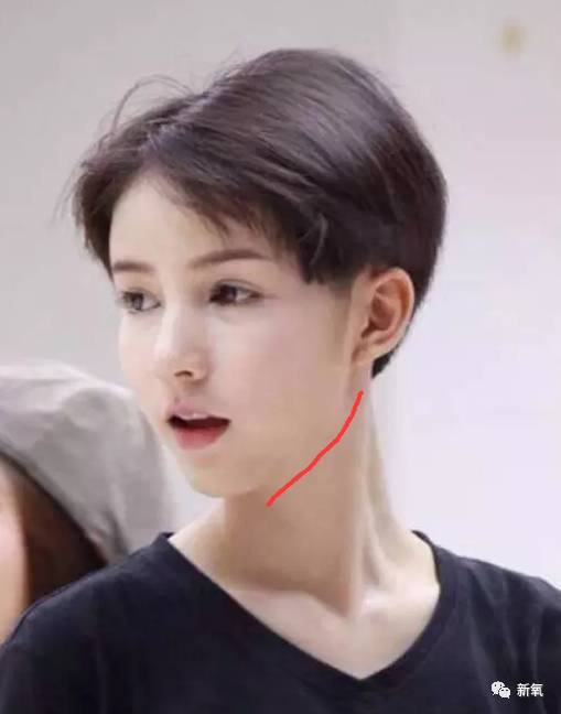 明星里,很少可爱的圆脸或者方面,大多都是心形脸或者瓜子脸