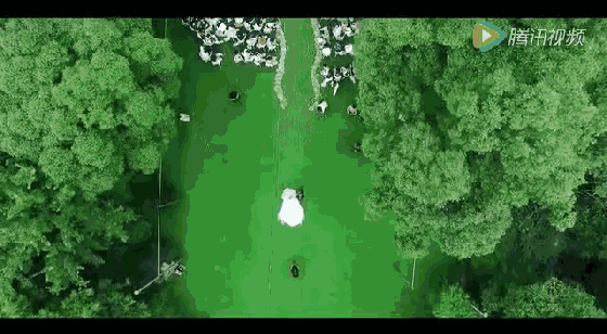 560_308gif 动态图 动图