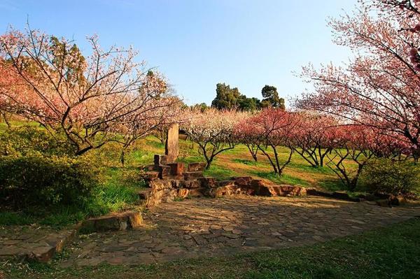 無錫梅園