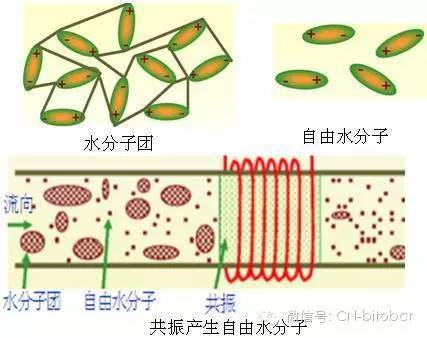 斯百特物理除垢工作原理 科技频道 手机搜狐