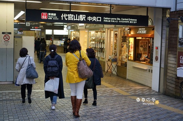 东京 漫步代官山 在世界最美书店喝一杯星巴克 旅游频道 手机搜狐