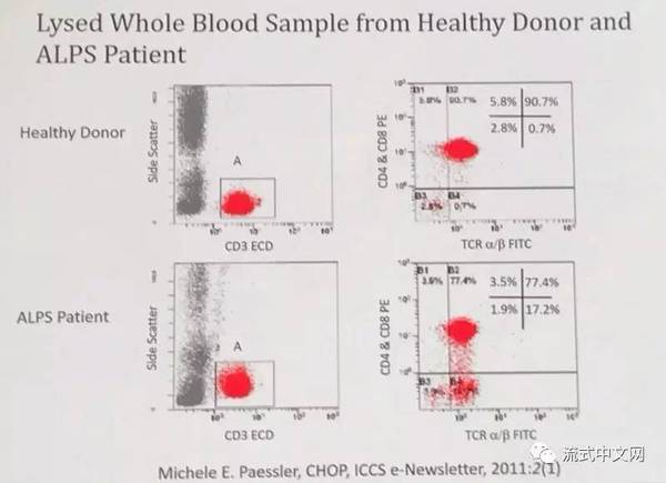 Cd4 Cd8双阴性t细胞 你可以开发的处女地 科技频道 手机搜狐