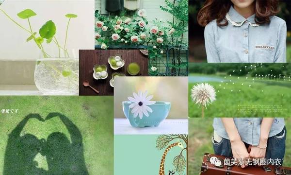 茵芙莎 | 这些内衣看多了,眼睛可是会怀孕的哦