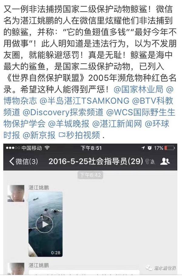 捕鲨还是救鲨?——"湛江姚鹏"事件惹怒整个潜水圈