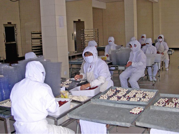 食品厂车间环境专用消毒剂