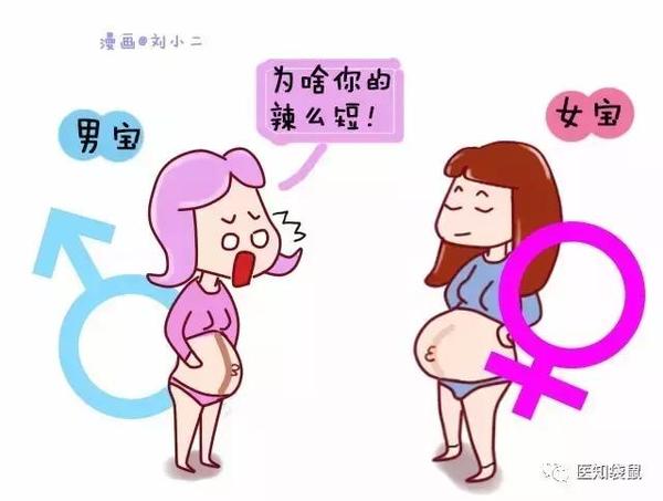 女生腹部下方男生图片