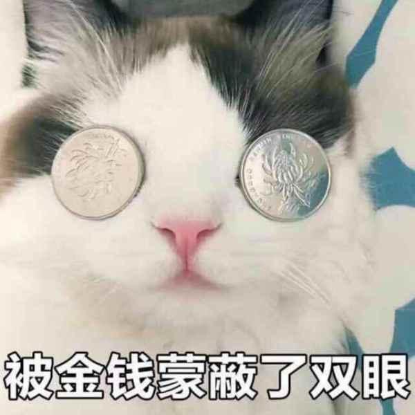 (余文乐的鞋子) 以上都是基本款,而收藏各种稀有球鞋,阿乐也是乐此不