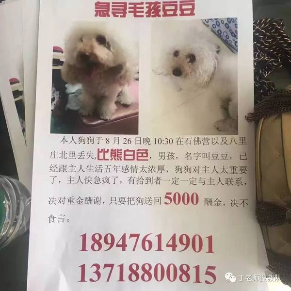 关爱所有动物 新闻频道 手机搜狐 关爱所有动物 新闻频道 手机搜狐