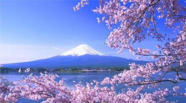 富士山 河口湖畔的一年四季让你重识圣山之美 旅游频道 手机搜狐