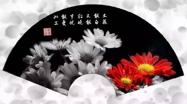 花圣_圣园未花_圣花卫生纸厂家