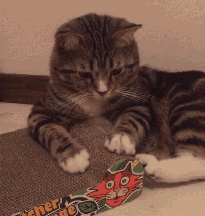 400_422gif 动态图 动图