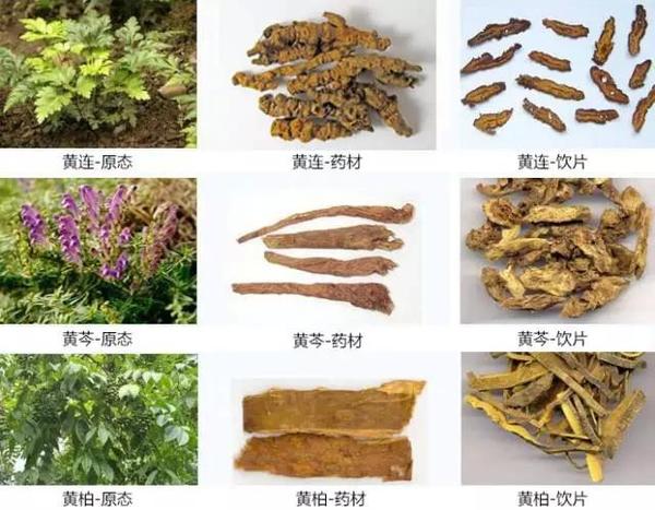 中药界的三黄兄弟,分别清除胃热,肺热和肾经之热