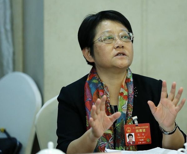 全国人大代表,河南省交通运输厅厅长张琼