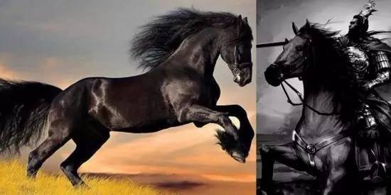 关羽骑赤兔马视频完整版 a2k4n112199736007405.jpeg