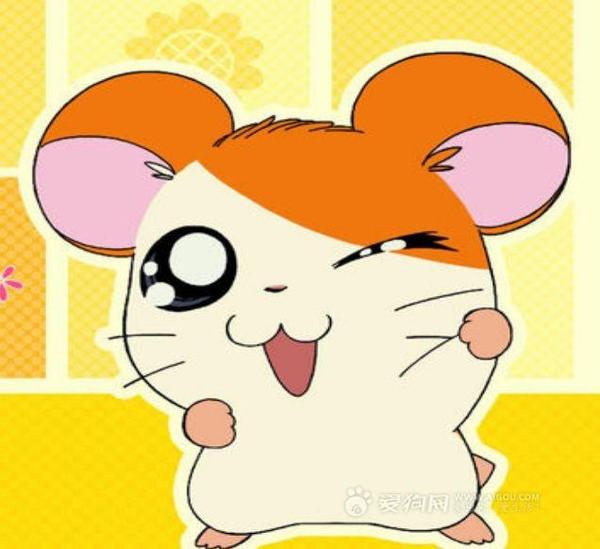 那些年我们从tvb儿童节目里观看过的动画片!