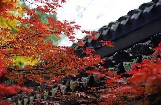 肉身菩萨憨山大师传奇的一生