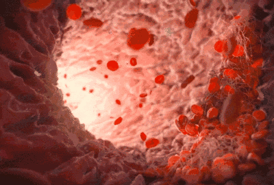 400_270gif 动态图 动图
