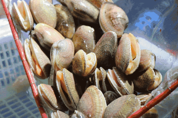 杭州吃海鲜不用去市场,现挑现做,吃货都赶来挤爆